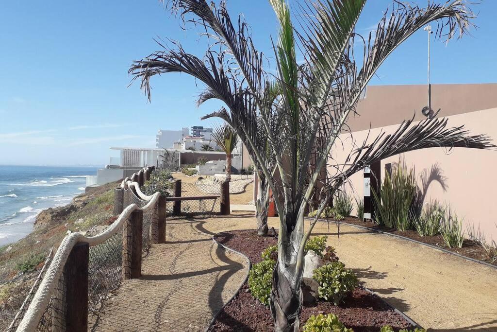Luxury With Pool Apartment Tijuana